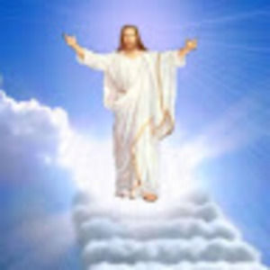 Meet your Posher, Janet martinez